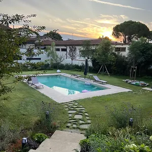 Taccetti - 